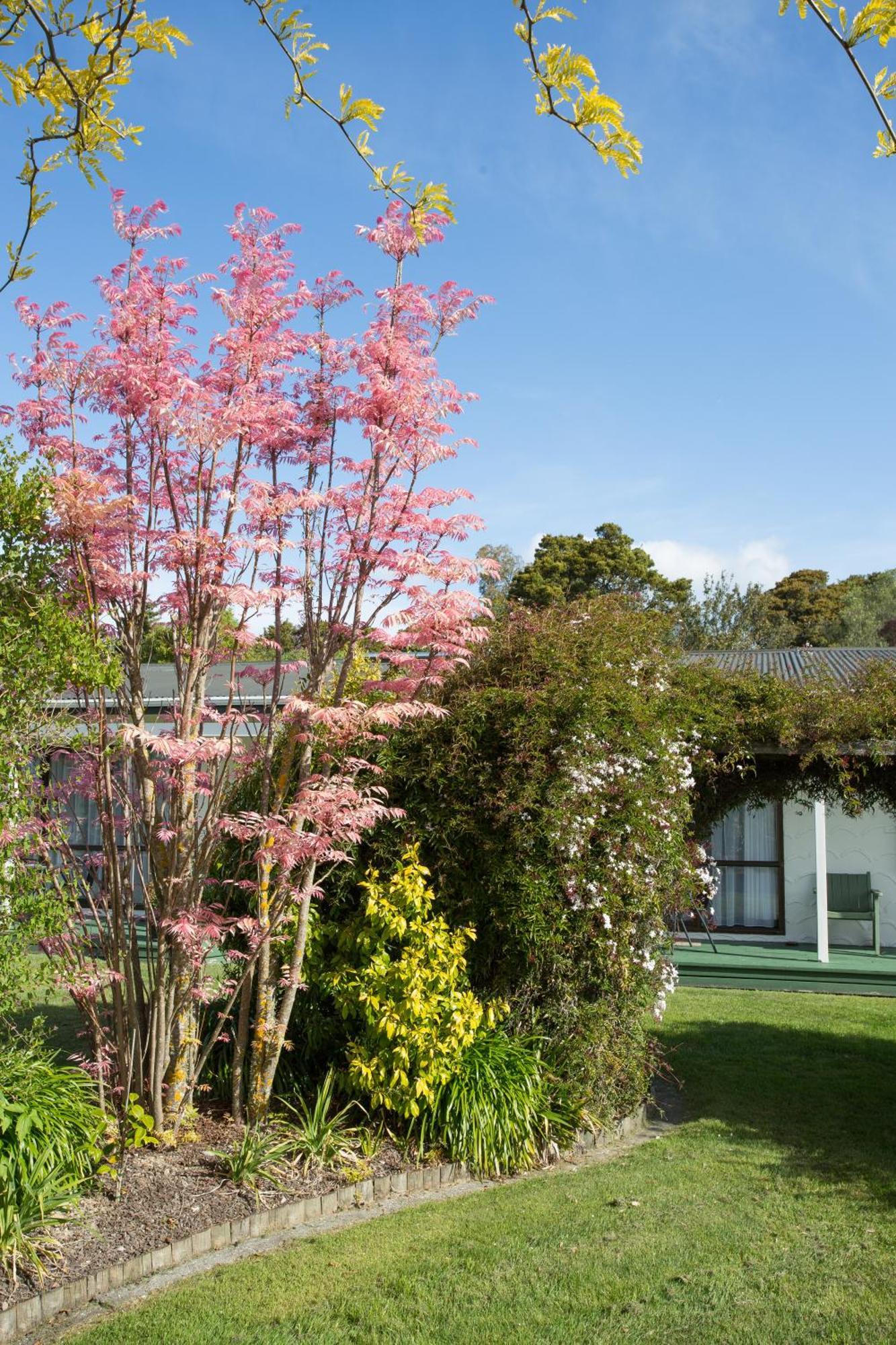 The Park Motel Motueka Exterior photo